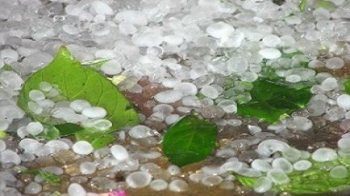  Trắng xóa mặt đất vì mưa đá