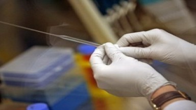  Mexico tập trung xúc tiến lập ngân hàng tế bào gốc