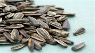  Lại nghi vấn hạt hướng dương chứa độc tố
