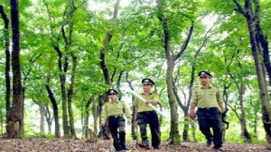  Cần ban hành bộ tiêu chuẩn quản lý rừng bền vững