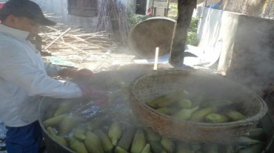  Lao đao vì bắp bị đổ oan