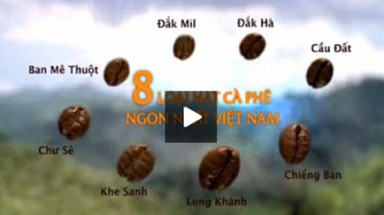  Quảng cáo cà phê thật là đánh phủ đầu