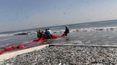    Interpol ngăn chặn đánh bắt cá bất hợp pháp ở Thái Bình Dương