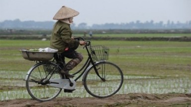   Sửa đổi Luật đất đai cần nghiên cứu kỹ để khắc phục những tồn tại, vướng mắc 