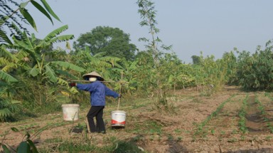  Góp ý vào Dự thảo Luật Đất đai (sửa đổi):Lo ngại lợi ích nhóm 