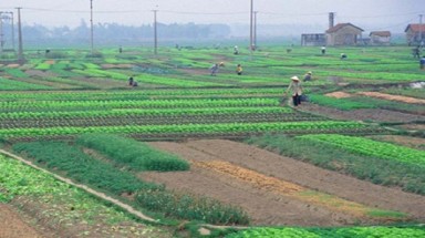  Luật Đất đai (sửa đổi): Cần chú ý đến cuộc sống của người dân sau tái định cư