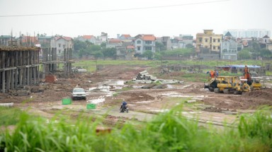   Giải quyết mâu thuẫn đất đai giữa công ty lâm nghiệp và người dân địa phương 