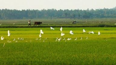   Hoàn thiện các quy định về sử dụng đất, giá đất, bồi thường, hỗ trợ và tái định cư 