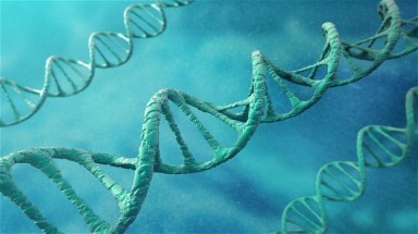  Những xét nghiệm DNA lãng phí