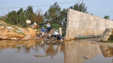     Quảng Ngãi: Dự án tỉ đô thành nơi… thả bò
