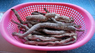  Hà thủ ô đen bổ, mà trắng càng bổ