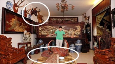    Đề nghị xác minh nguồn gốc da hổ, đầu bò tại nhà diễn viên Tùng Lâm