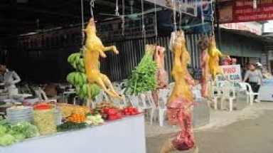  Mạnh tay với buôn bán động vật hoang dã tại lễ hội chùa Hương 