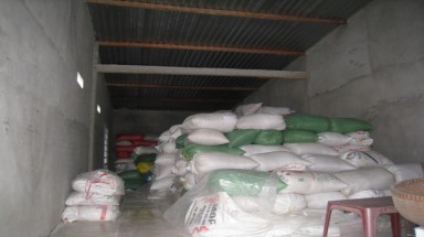  3 tấn lúa lạ không rõ nguồn gốc gây hoang mang