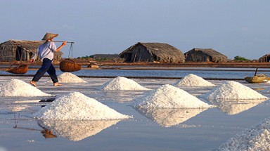 Càng được mùa muối, càng khát nước