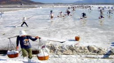  Bình Thuận: Xử lý dứt điểm ô nhiễm môi trường tại đồng muối Thông Thuận 