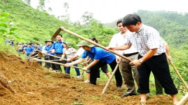  Mô hình "bó đũa" giúp thanh niên làm giàu
