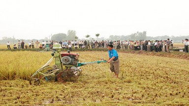   Bộ Nông nghiệp và Phát triển nông thôn giải thể 3 "ông lớn" trong năm 2013 