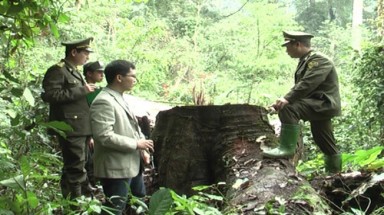  Rừng đặc dụng Sở chỉ huy Chiến dịch Điện Biên Phủ bị tàn phá
