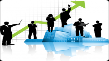  CSD tuyển điều phối dự án Truyền thông Xã hội