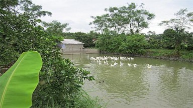  Mô hình cũ, hiệu quả mới