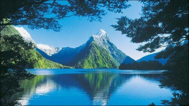  Học bổng toàn phần chỉ dành riêng cho sinh viên Việt Nam của chính phủ New Zealand