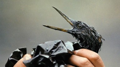  Bài học gì từ sự cố tràn dầu của Exxon Valdez 1989?