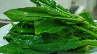  10 bài thuốc không bao giờ cũ