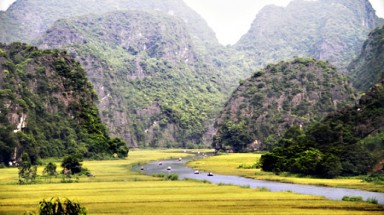  Mùa lúa chín vàng rực ở Tam Cốc - Bích Động 