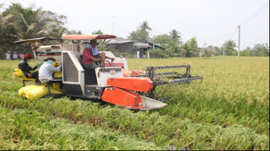  An Giang: Ứng dụng công nghệ cao xây dựng mô hình cánh đồng mẫu lớn