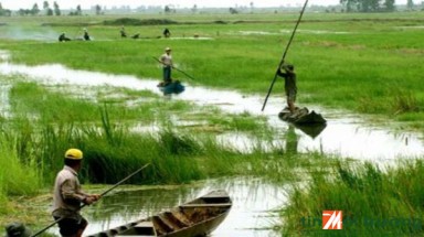 Ứng phó với biến đổi khí hậu ở Đồng bằng sông Cửu Long đang cần một "nhạc trưởng"