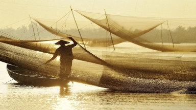 Đánh bắt buổi bình minh