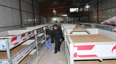 Trung Quốc "giúp" nuôi gián đất: Sẽ còn nhiều việc tương tự!