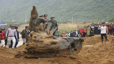 Giải mã: Vì sao dân Trung Quốc "phát cuồng" và đổ tiền mua gỗ sưa?