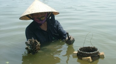  Ninh Thuận: Cảnh báo nguy hiểm từ việc mưu sinh dưới sông