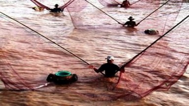 Những quy định ngư dân phải tuân thủ khi tham gia đánh bắt thủy sản ở những vùng biển chồng lấn?