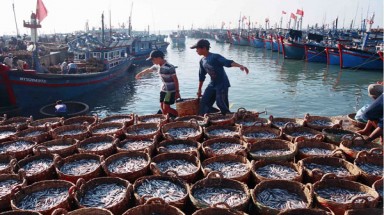  Một  số  thành  tựu  của  các  lĩnh  vực kinh tế biển chủ yếu của Việt Nam?
