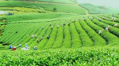   Hỗ trợ các doanh nghiệp Khu công nghiệp phát triển theo định hướng giảm phát thải cacbon 