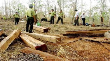  Đắk Nông: "lâm tặc" vây chốt bảo vệ rừng, đánh cán bộ trọng thương