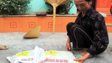  Nghệ An: Hỗ trợ hơn 40 tấn lúa giống… hết hạn sử dụng