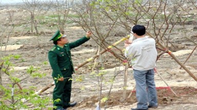  Bàn giao vườn mai 103 cây cho gia đình và Ban quản lý khu mộ Đại tướng Võ Nguyên Giáp