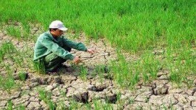  Tăng cường năng lực xây dựng và thực thi chính sách về biến đổi khí hậu