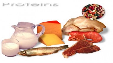 Chế độ ăn giàu protein từ động vật ngăn chặn quá trình lão hóa