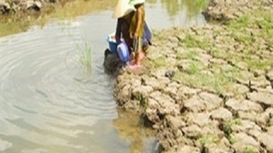  Quảng Nam nỗ lực chống hạn, ngăn mặn xâm nhập 