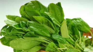  Ăn rau chân vịt mỗi sáng ngăn được nguy cơ béo phì