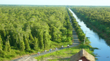  Gần 34.000 ha rừng tràm ở Cà Mau có nguy cơ cháy cao