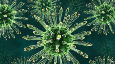  Phát hiện kháng thể có thể vô hiệu hóa virus HIV 
