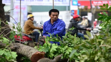  Rừng là văn hóa