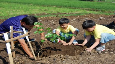   Một số dự án phải đánh giá tác động môi trường