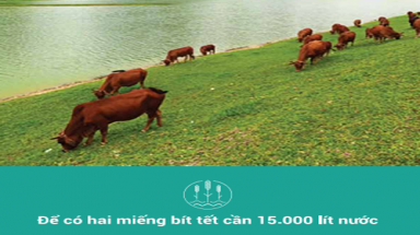  Nước và thực phẩm: Để có hai miếng bít tết cần 15.000 lít nước